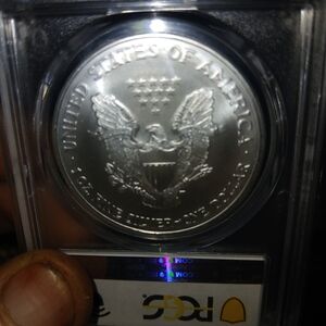 Silver Commemorative Coin Silver Eagle